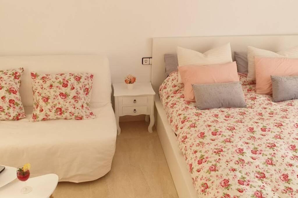 Apartamento Pepa. En El Corazon Del Delta. サント・ハウメ・デンヴェハ エクステリア 写真