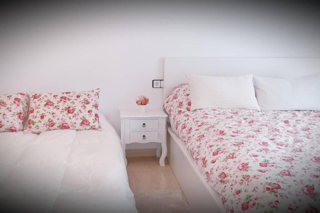 Apartamento Pepa. En El Corazon Del Delta. サント・ハウメ・デンヴェハ エクステリア 写真